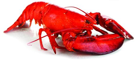 2020 Retail Seafood Review: Sustainability Remains Key Concern