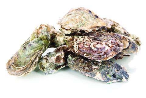2020 Retail Seafood Review: Sustainability Remains Key Concern