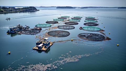 Trump Signs Executive Order Promoting U.S. Seafood