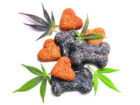 Pet Owners Making the Cannabis Connection