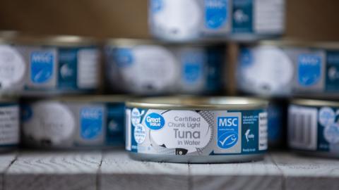 Walmart to Offer Sustainable Private-Brand Canned Tuna