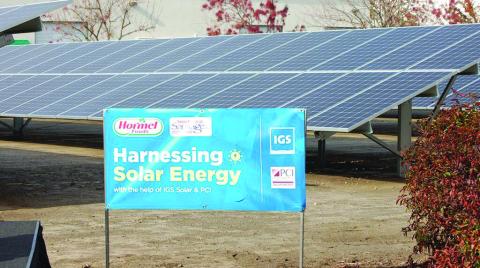 Taking Stock of Sustainability