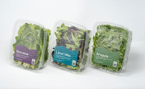 Hyper-Local, Nutrient Rich Food Poised for Huge Growth