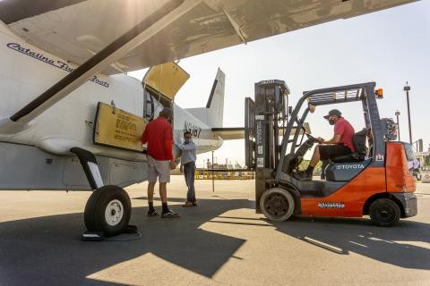 Fresh Peaches Find a Faster Way to Grocery Stores