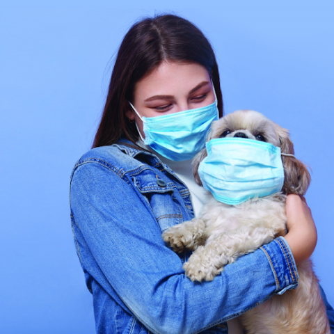 Pet Retail Sales Gaining During the Pandemic