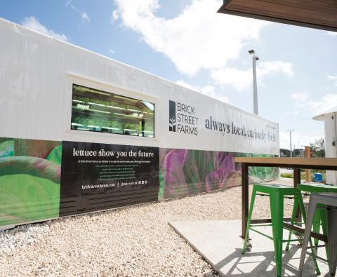 Publix Cultivates Hydroponic Offerings