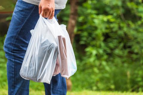 Single-use plastic bags pulled from Wegmans stores statewide