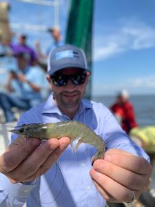 Albertsons Improves Seafood Traceability
