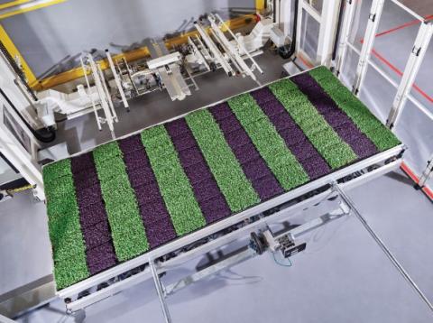 Plenty’s hydroponic greens, grown indoors in vertical farms, are already sold by Albertsons and other retailers, but according to the company, it has built a platform for growing other kinds of crops as well.