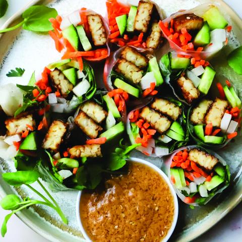 Spring rolls made with soy-based tempeh offer vitamins and minerals as well as flavor and visual appeal.
