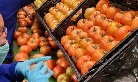 From Greenhouse to Grocer RPCs IFCO Agros Produce