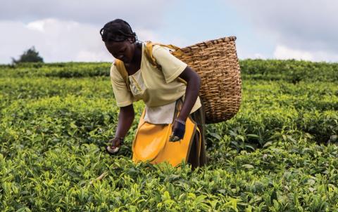 KeHE Salutes ‘Conscious’ Brands CARETrade Program