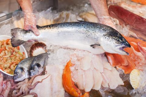 New Dates Revealed for Seafood Expo North America