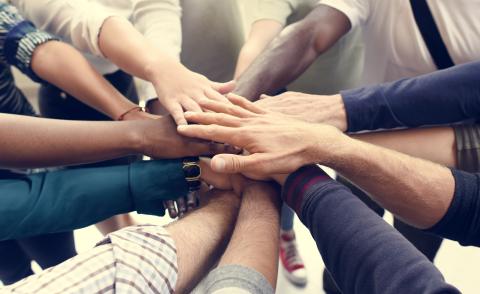 Peapod Digital Labs Commits to Diversity & Inclusion CEO Action for Diversity & Inclusion