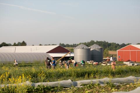Giant Cos., Rodale Institute Team on Regenerative Organic Agriculture Rodale Institute