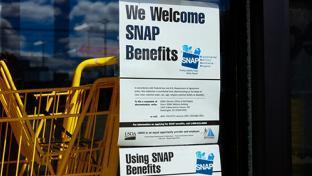 Food Lion and Instacart Expand SNAP Program
