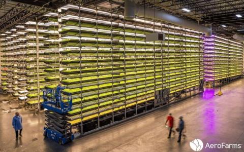Vertical Farming Company to Be Publicly Traded