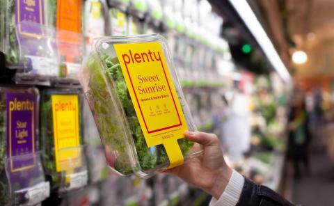 Safeway Expands Produce Offering Via Vertical Farming