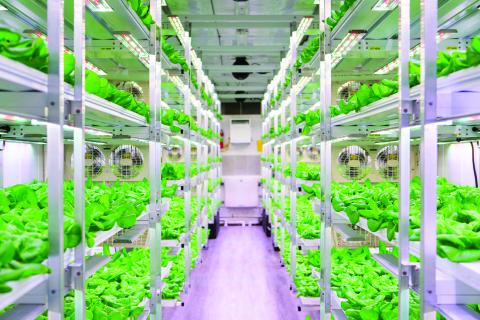 The Regenerative Retailer