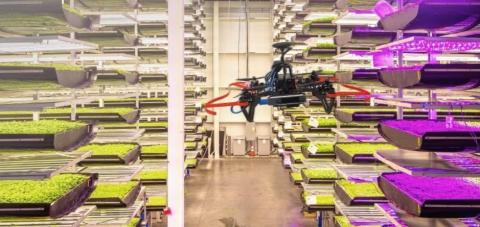 AeroFarms Shows Hardy Growth With Strategic Partnerships
