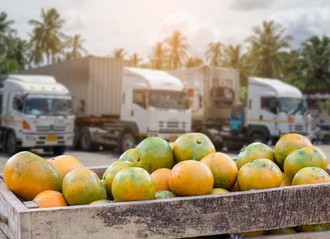 Retailer/Wholesaler Group Launch Traceability Network