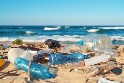 Eliminating Plastic Pollution at Retail
