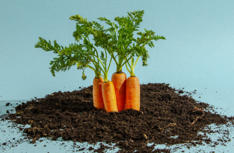 Cub Foods Launches Fresh Food Supply Chain Transformation