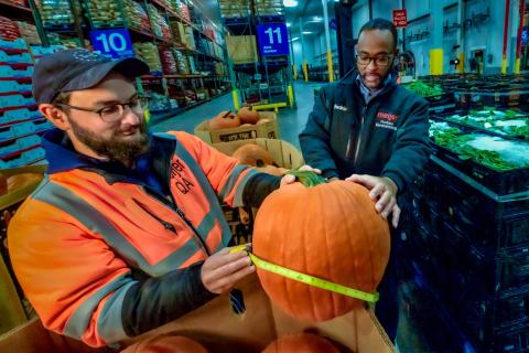 Meijer Expects Great Pumpkin Demand This Year