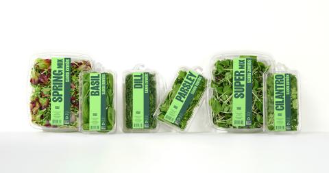 Indoor Farm Square Roots Reveals Reimagined Branding