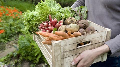 Produce Box Main Image