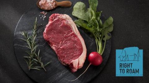 Beef Outlook 2022