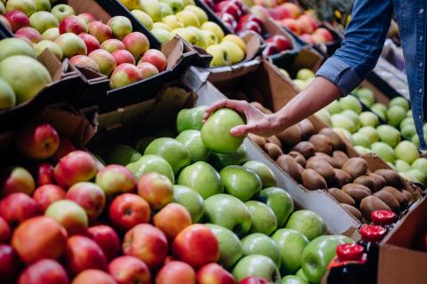 Produce Department Main Image