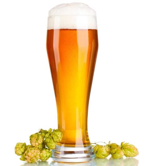 spring '22 beer review