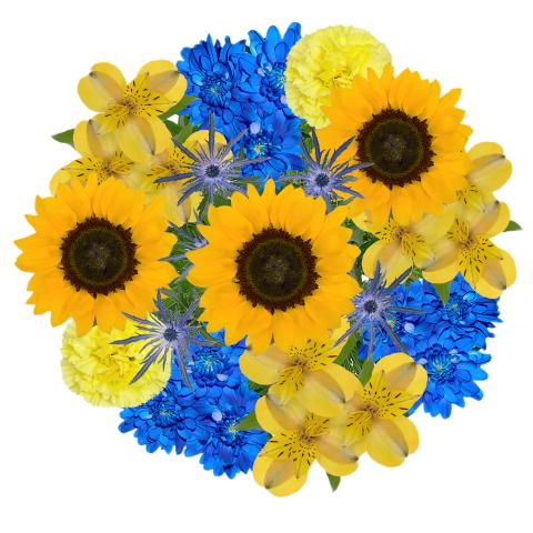 Sunflower ukraine