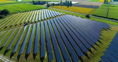 Meijer solar