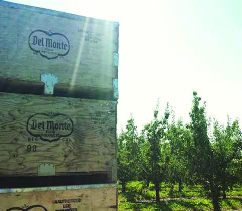 Sustainability Matters