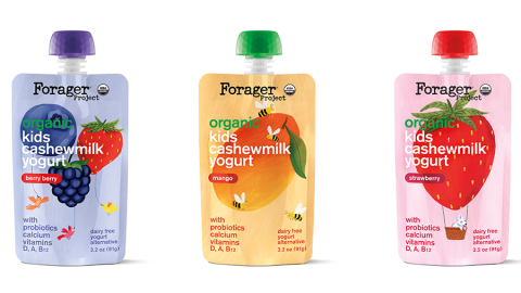 Forager Project Organic Kids Cashewmilk Yogurt Main Image