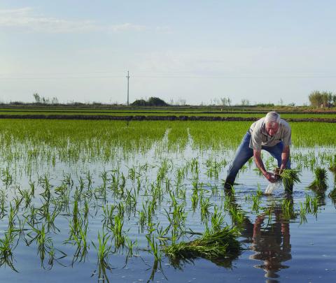 Sustainability Matters
