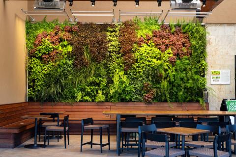 Sustainability Matters