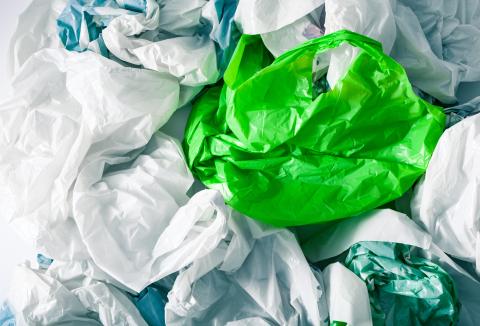 Single-Use Plastic Bags Main Image