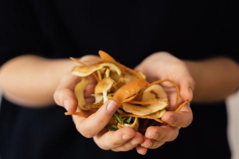 Upcycled Foods Main Image