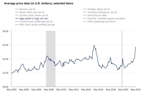 average price eggs.bls