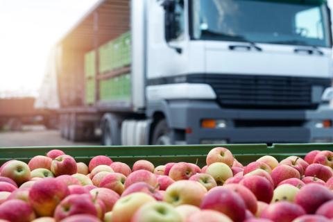 USDA Releases Framework to Improve Food Supply Chain