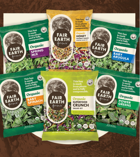 Fair Earth Farms Organic Salad Kits and Salad Blends Main Image