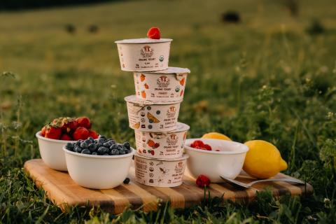Painterland Sisters Organic Skyr Yogurt Main Image