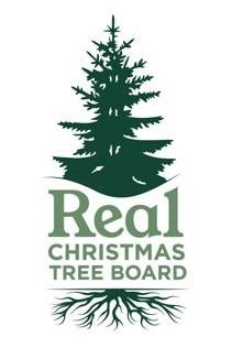 Real Christmas Tree Board