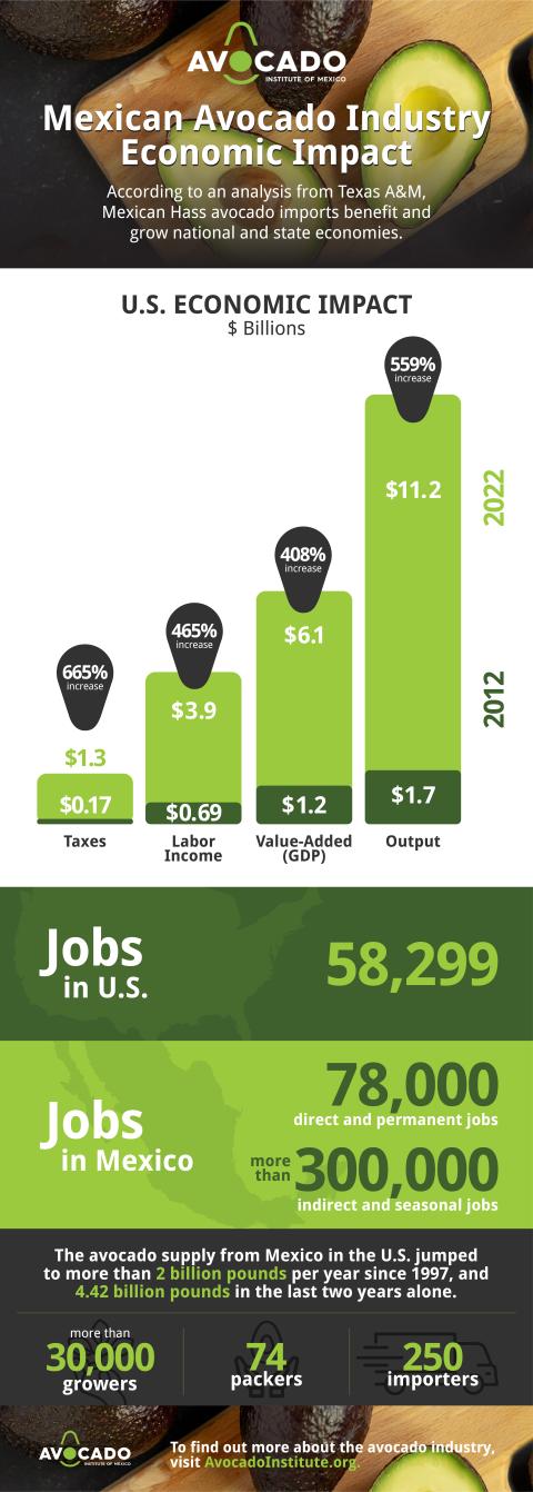 Avocado infographic