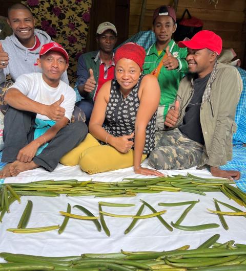 Lafaza Vanilla