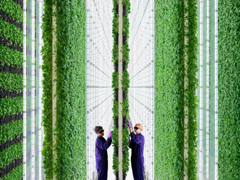 Plenty Indoor Farm Main Image