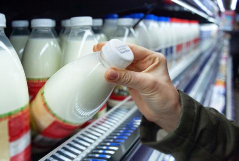 SNAP Dairy Incentive Program